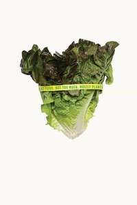 In Defense of Food - Poster