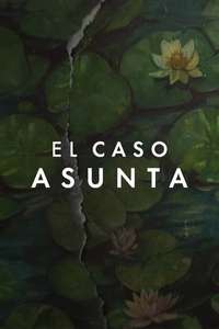 The Asunta Case - Posters