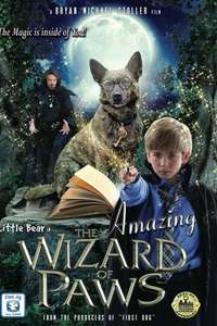 The Amazing Wizard of Paws - Poster
