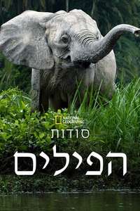 Secrets of The Elephants - Posters