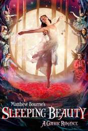Sleeping Beauty: A Gothic Romance