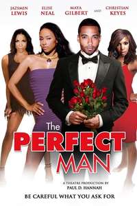The Perfect Man - Poster