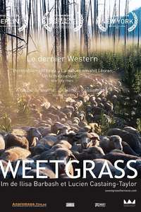 Sweetgrass - Poster