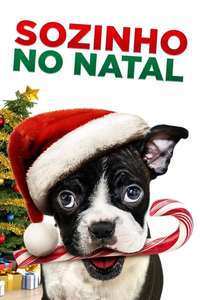 Alone For Christmas - Poster