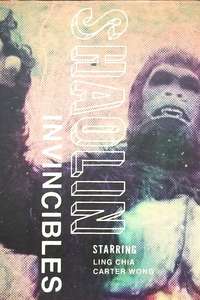 Shaolin Invincibles - Posters