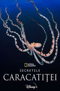 Secrets of the Octopus - Posters