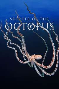 Secrets of the Octopus - Posters