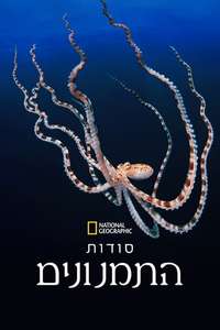 Secrets of the Octopus - Posters