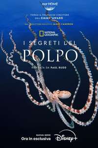Secrets of the Octopus - Posters