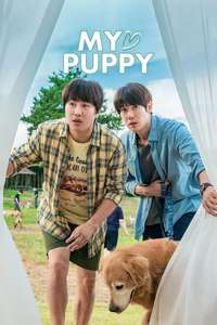 My Love Puppy - Poster