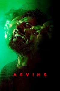Asvins - Poster