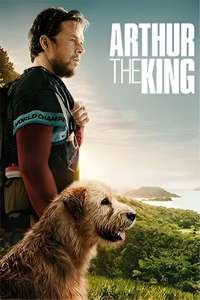 Arthur the King - Posters
