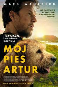 Arthur the King - Posters