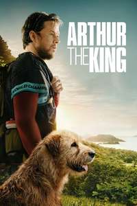 Arthur the King - Posters