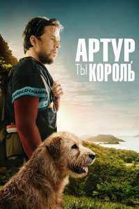Arthur the King - Posters