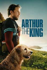 Arthur the King - Posters