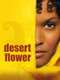 Desert Flower