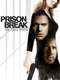 Prison Break: The Final Break