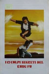My Kung Fu 12 Kicks - Posters