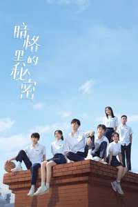 Our Secret - Posters