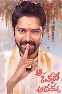 Aa Okkati Adakku - Posters