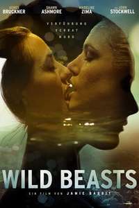 Breaking the Girls - Poster