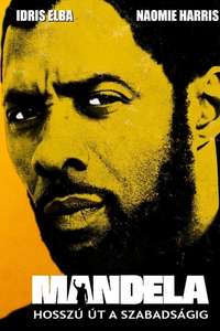 Mandela: Long Walk to Freedom - Poster