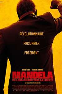 Mandela: Long Walk to Freedom - Poster