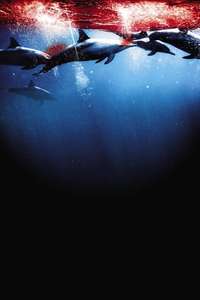 The Cove - Poster