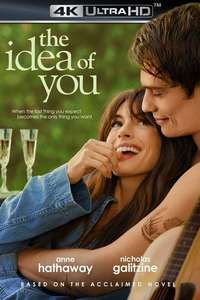 The Idea of You - Posters