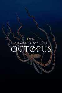 Secrets of the Octopus - Posters
