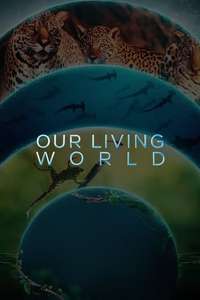 Our Living World - Posters