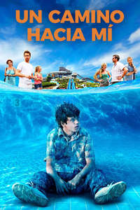 The Way Way Back - Poster