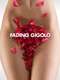 Fading Gigolo