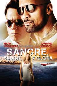 Pain & Gain - Poster