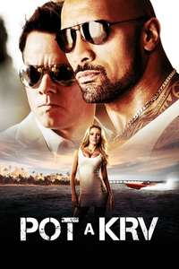 Pain & Gain - Poster