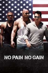 Pain & Gain - Poster