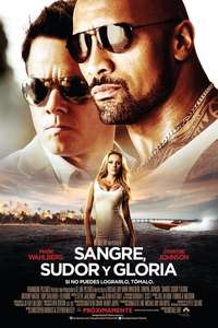 Pain & Gain - Poster