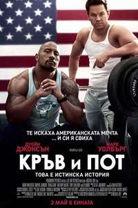 Pain & Gain - Poster