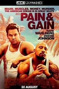 Pain & Gain - Poster