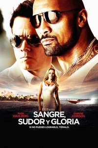 Pain & Gain - Poster