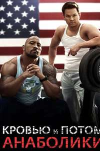 Pain & Gain - Poster