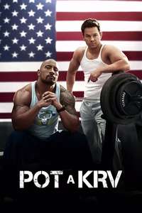 Pain & Gain - Poster