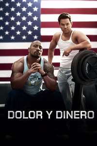 Pain & Gain - Poster