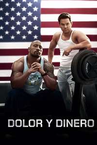 Pain & Gain - Poster