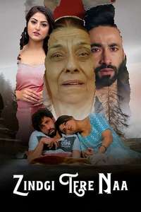 Zindgi Tere Naa - Posters