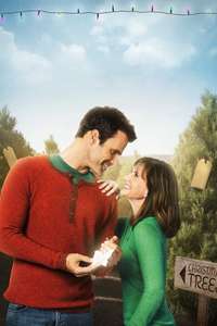 The Christmas Ornament - Poster