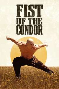 Fist of the Condor - Posters