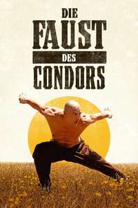 Fist of the Condor - Posters