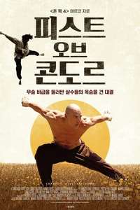 Fist of the Condor - Posters